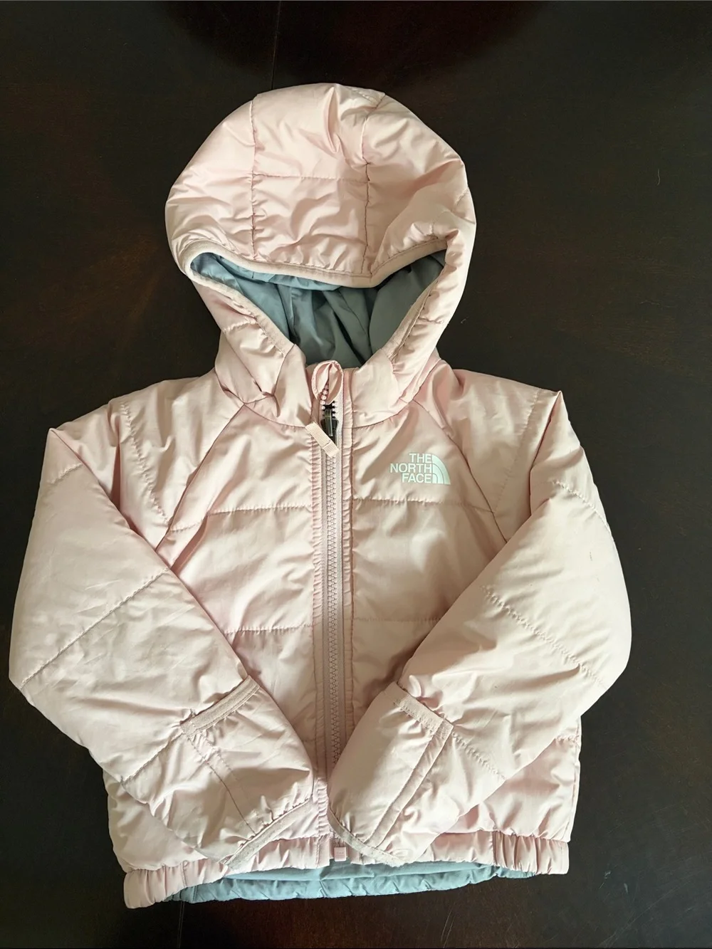 The North Face Light Pink Hooded Puffer Jacket